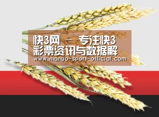 快3网 - 专注快3彩票资讯与数据解析平台