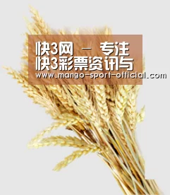 快3网 - 专注快3彩票资讯与数据解析平台