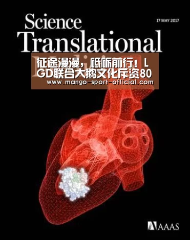征途漫漫,砥砺前行!LGD联合大鹅文化斥资8000万进军KPL-快3网站官网(图2) 快3网站官网