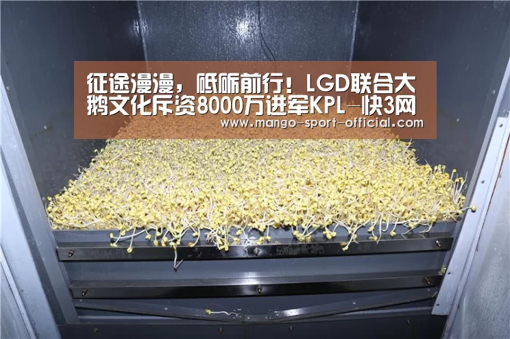 征途漫漫,砥砺前行!LGD联合大鹅文化斥资8000万进军KPL-快3网站官网(图1) 快3网站官网