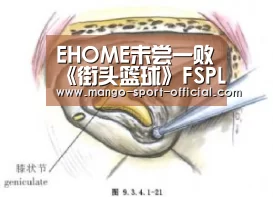 快3网站官网
