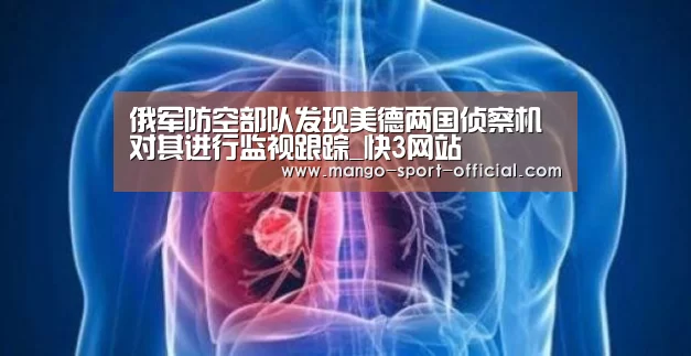 俄军防空部队发现美德两国侦察机 对其进行监视跟踪_快3网站(图1) 快3网站