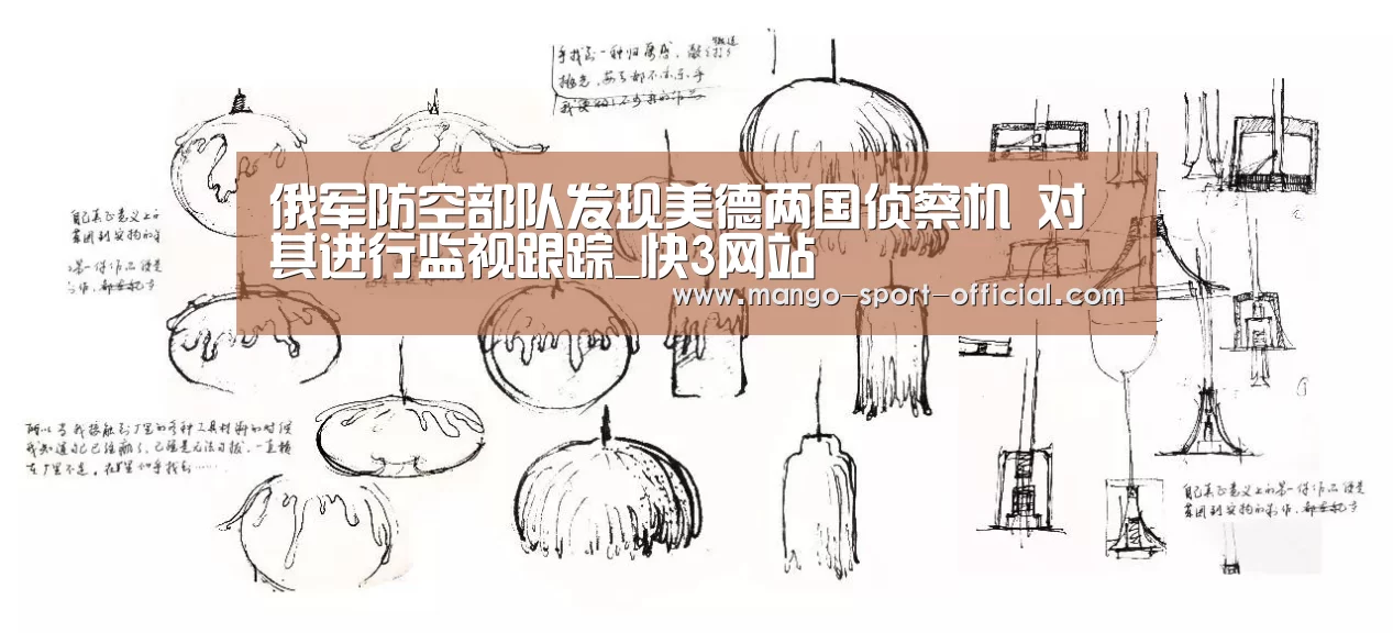 俄军防空部队发现美德两国侦察机 对其进行监视跟踪_快3网站(图3) 快3网站开奖查询