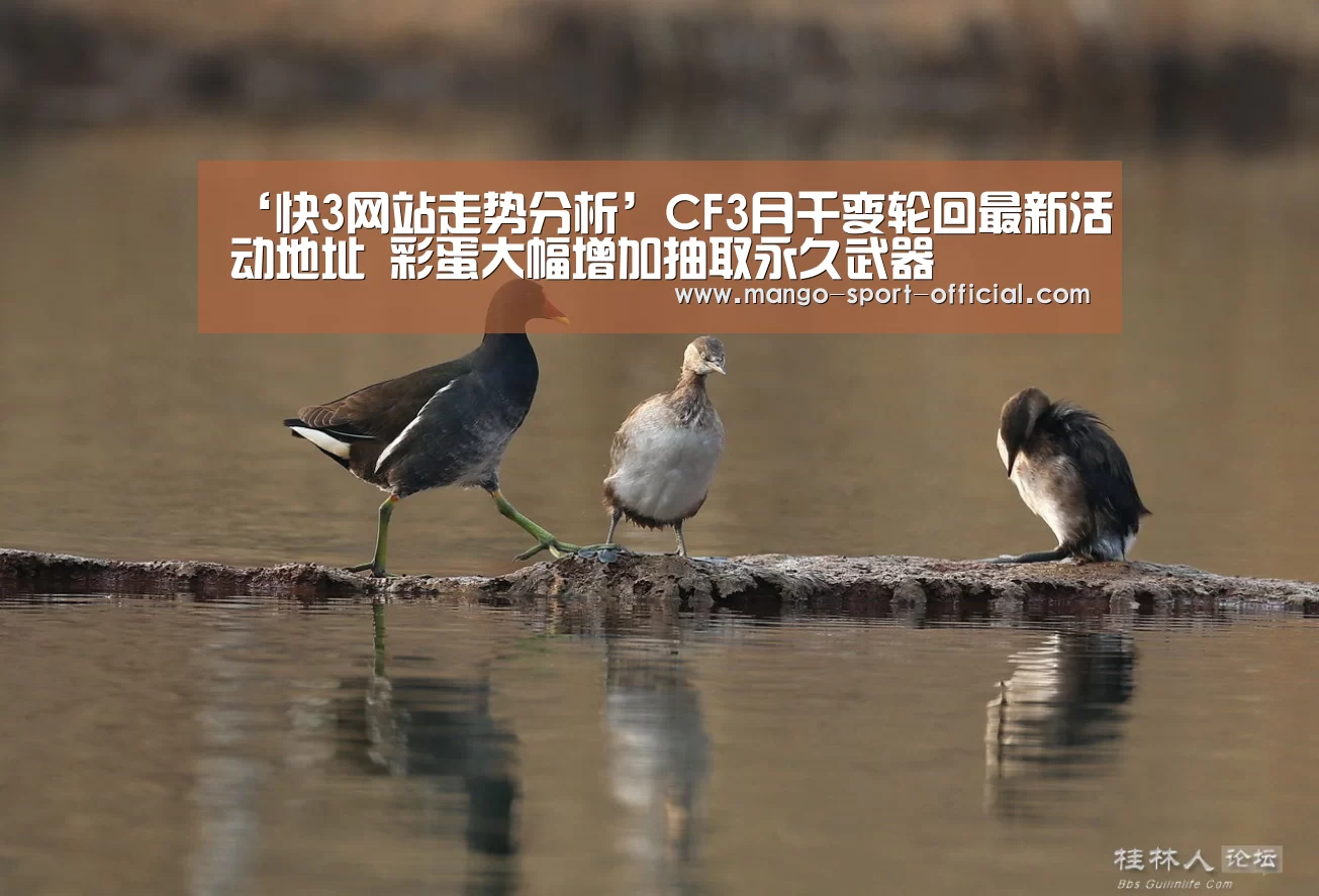 快3网站官网