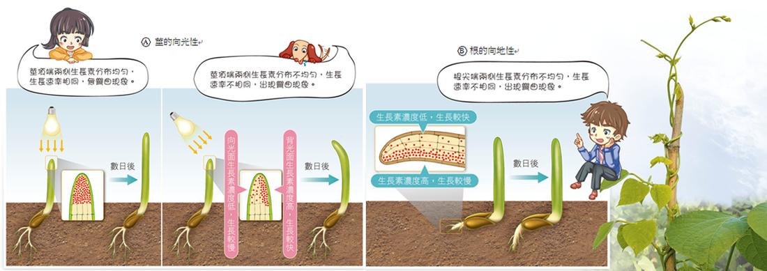 “快3网站开奖查询”确保新时代改革开放行稳致远_时事政治_中公教育网(图4) 快3网站